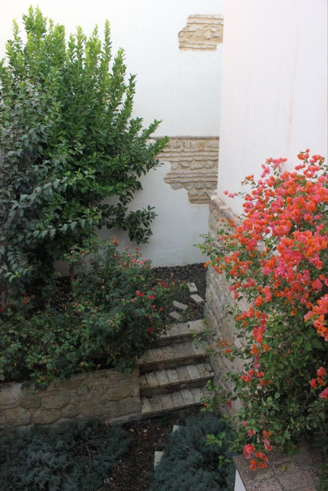 Apartmán La Casa De La Escalera 1 Derecha Córdoba Exteriér fotografie